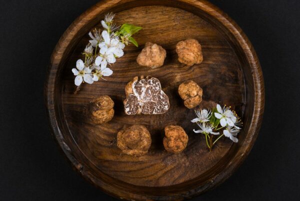 White Spring Truffle - Tuber Borchii