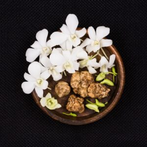 White Autumn Truffle